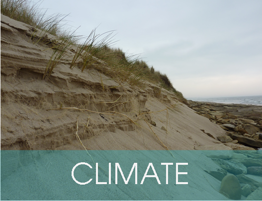 Climate change adaptation